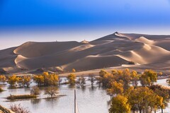 外出随拍（719）.