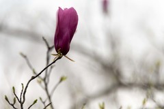 庐州印象（634）