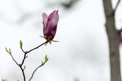 庐州印象（634）