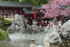 东湖樱花园（三）