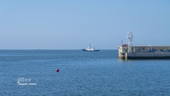 秦皇岛西港花园（2）