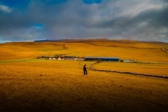 新疆喀拉峻草原 6