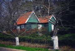 终于上来了《重新启用老机器SX10长焦机》当年最火的相机，一放就是20年再展宏图哈哈