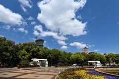 2026小城的春（贰拾捌）