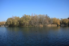 冬日——明湖随拍