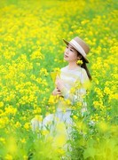 洋湖湿地多彩油菜花--4