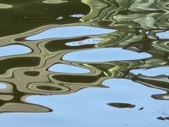 天鹅荡漾的湖面 2-2