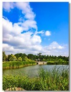 城市绿地（二）