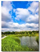 城市绿地（二）