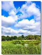城市绿地（二）