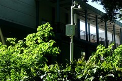 植物园随拍四