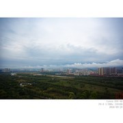 260928 雨后