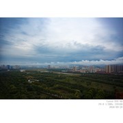 260928 雨后