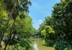 赤岗古塔附近。