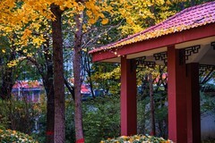 色彩斑斓的深秋—(再续)