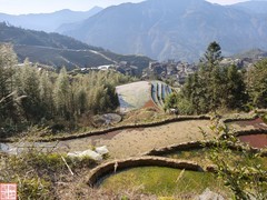 2025.3.19桂林龙脊平安梯田（29）