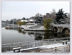 雪 【乙巳年-311】