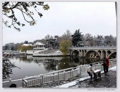 雪 【乙巳年-311】