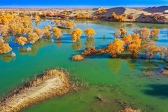 外出随拍（720）.