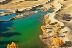 外出随拍（720）.