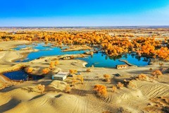 外出随拍（720）.