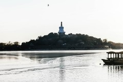 【镜头里】第1682号：大美京城随手拍（四）