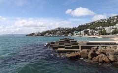 北岛游---惠灵顿海边随拍（二）