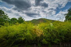 香格里拉到西双版纳沿途风景60