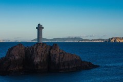 外出随拍（583）.