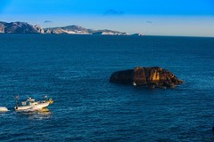 外出随拍（583）.