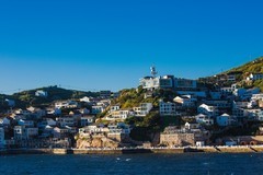 外出随拍（585）.