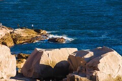 外出随拍（585）.