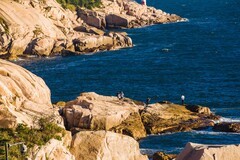 外出随拍（585）.