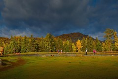 新疆喀纳斯风景20
