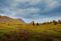 新疆喀纳斯风景21