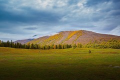 新疆喀纳斯风景21