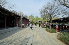 随拍——明水●古城春色