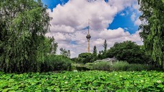 手机游拍20260614《67》
