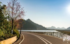 冬日暖阳下的荷花赛道与十里荷塘。