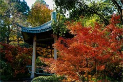 2025年第0886贴-无锡鼋头渚公园旅拍（1222）