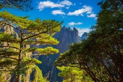 黄山风景27