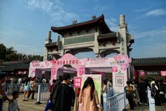 东湖樱花园（五）