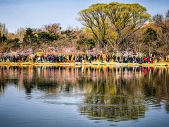 手机游拍20260316《18》