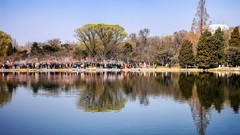 手机游拍20260316《18》