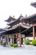 广西行——南宁青秀山（3）