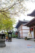 广西行——南宁青秀山（3）