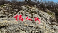 金 石 滩 国 家 地 质 公 园 （ 七 ）