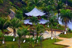 019【不老松：二游海南记实】临高长島兰湾二期景！最后一片能猜得到是什么吗？(上午拍