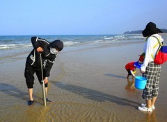 021【不老松：二游海南记实】临高长島兰湾趕海人。专用工具专抓虾爬子！