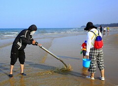 021【不老松：二游海南记实】临高长島兰湾趕海人。专用工具专抓虾爬子！